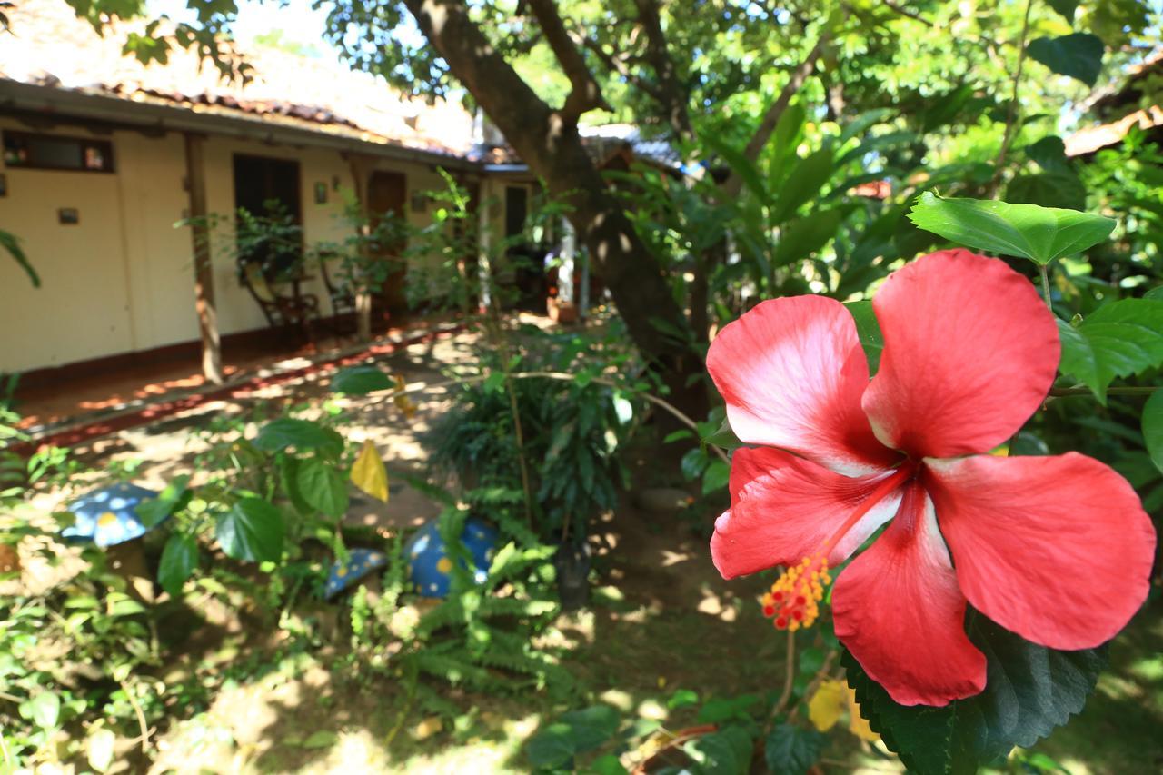 Casa De Los Berrios León エクステリア 写真